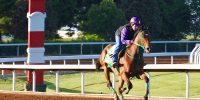 Keeneland horse training