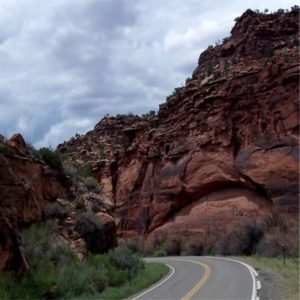 109 West Colorado Bike Tour