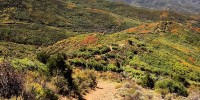 Carbondale mountain biking fall