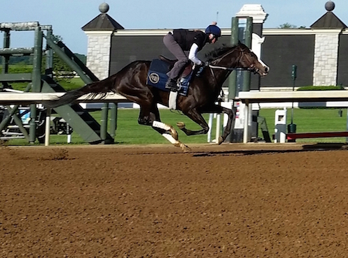 Horse at Keeneland