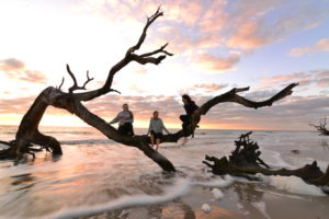 Georgia Sunset on Driftwood Beach