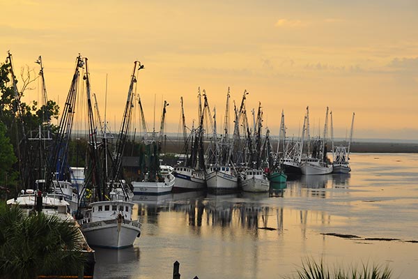 Georgia gold coast bike tour boats