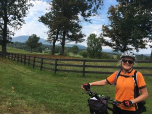 Shenandoah Skyline Drive Tour
