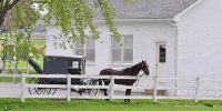 Amish country buggy horse bike