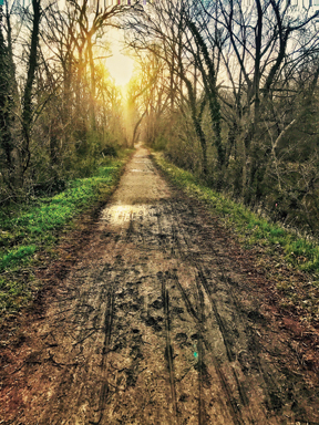 muddy towpath