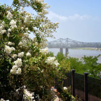 Photo provided by Visit Natchez