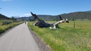 Rio Grande Trail mile 7