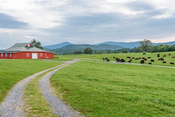 Marriott Ranch