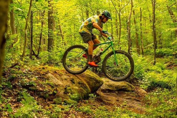 big bear mountain bike