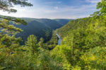 Pine creek gorge