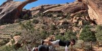planking-arch